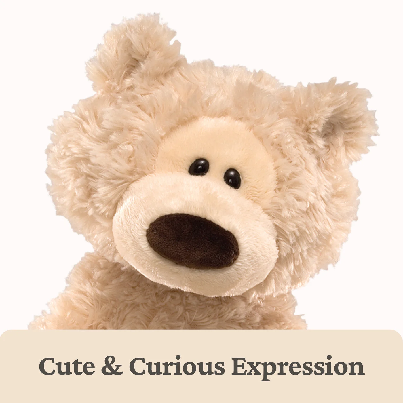 Philbin Bear, Beige, 12 in — manufacturer detail 2