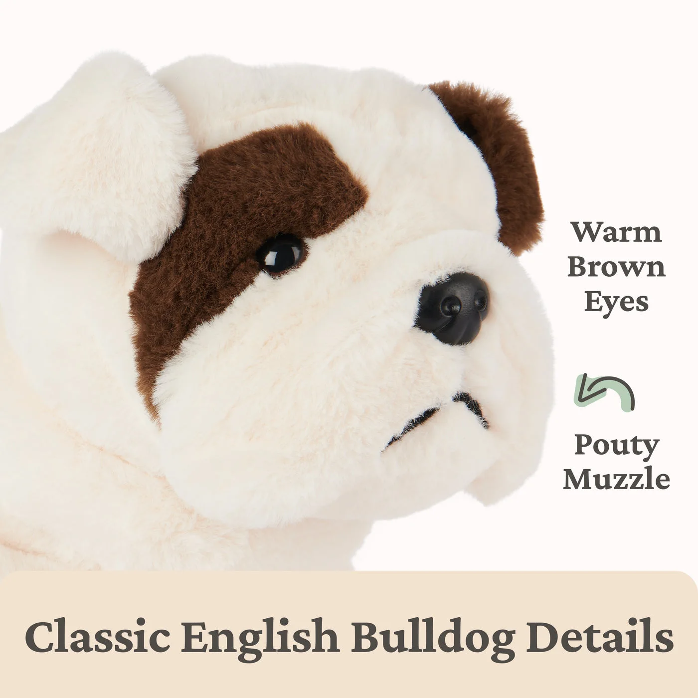 Toast Bulldog, 10 in — manufacturer detail 3