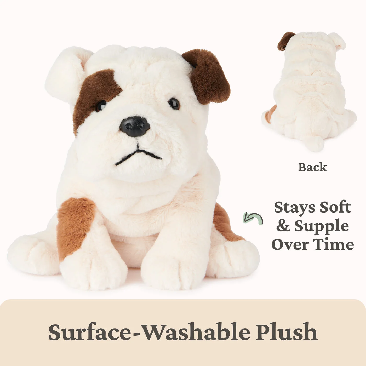 Toast Bulldog, 10 in — manufacturer detail 5