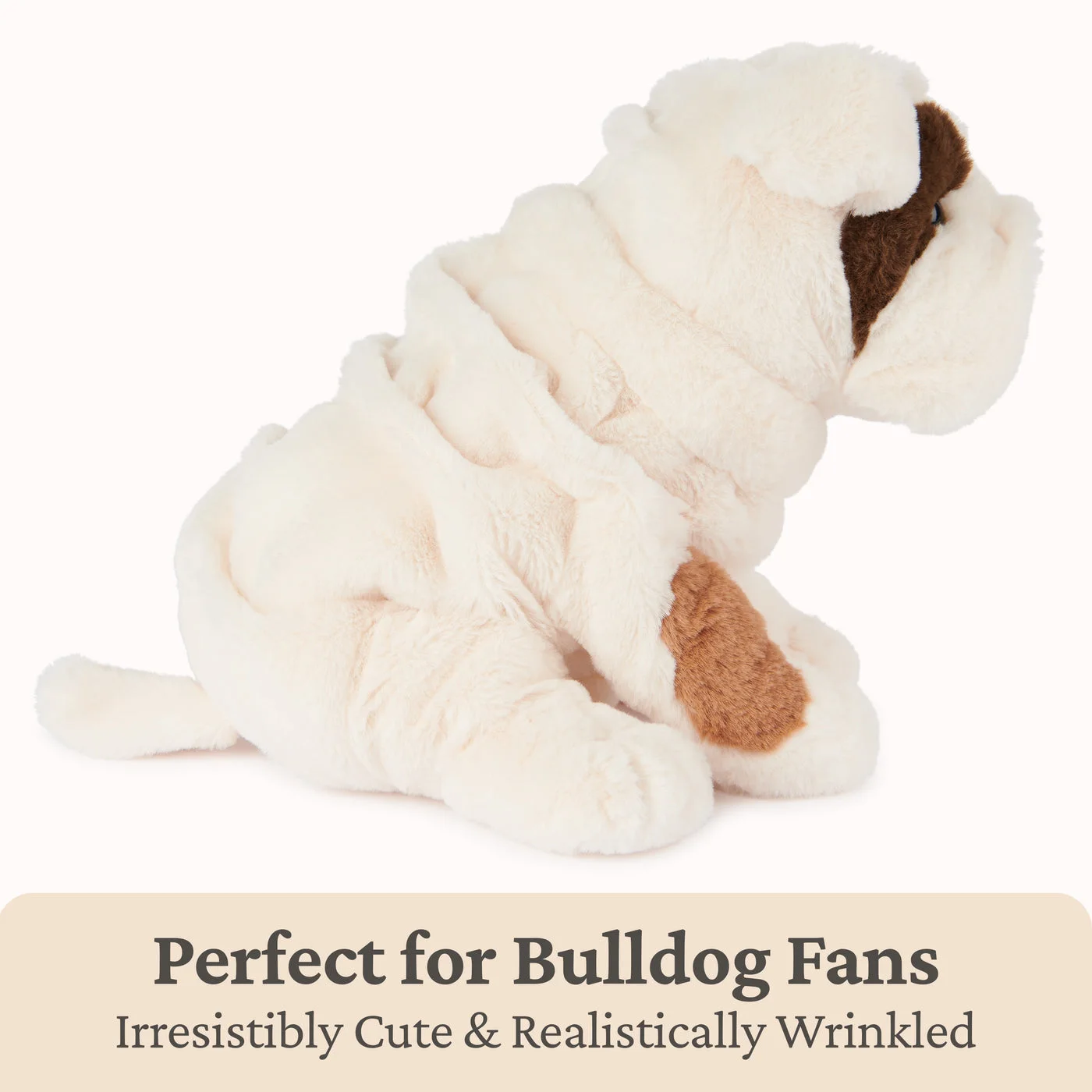 Toast Bulldog, 10 in — manufacturer detail 6