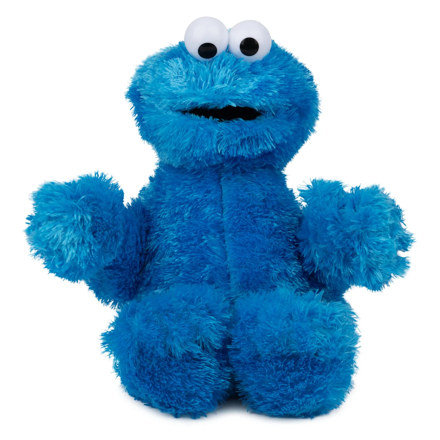 Sesame Street: Cookie Monster, 12 in — product overview