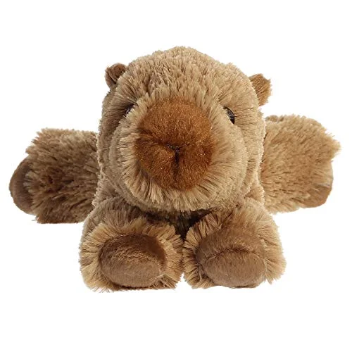 Front view shows the rounded face and small ears.