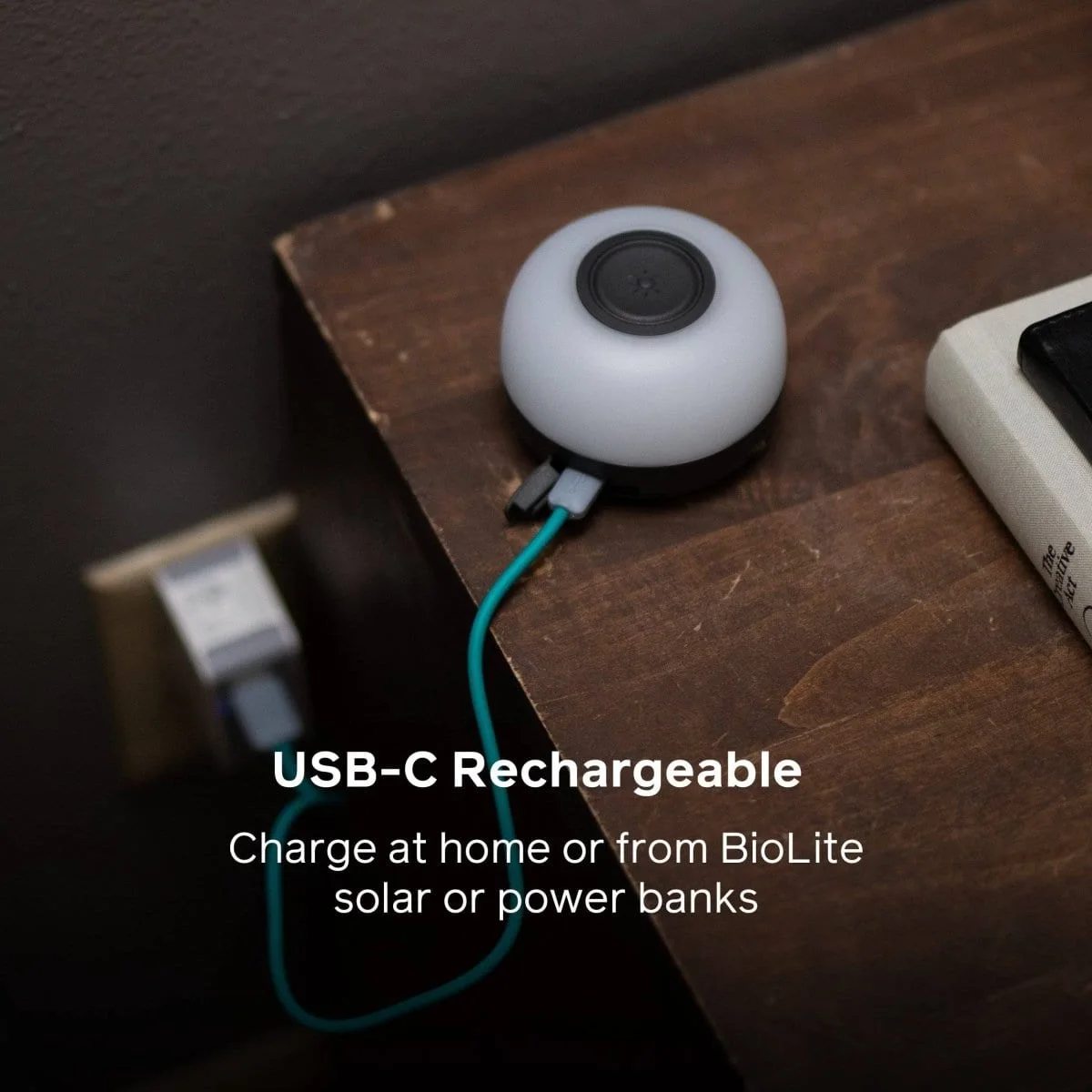 USB-C recharge input; this Mini does not offer charge-out for a phone.