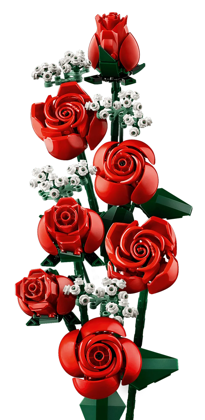 Side view of the stems and arrangement.