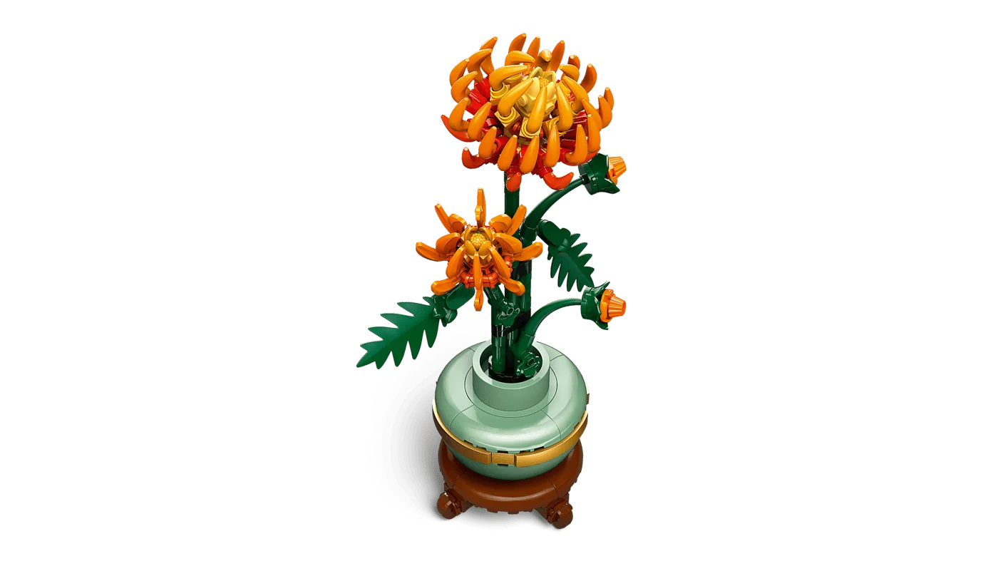 Higher-angle view of the flower, foliage and buildable pot.