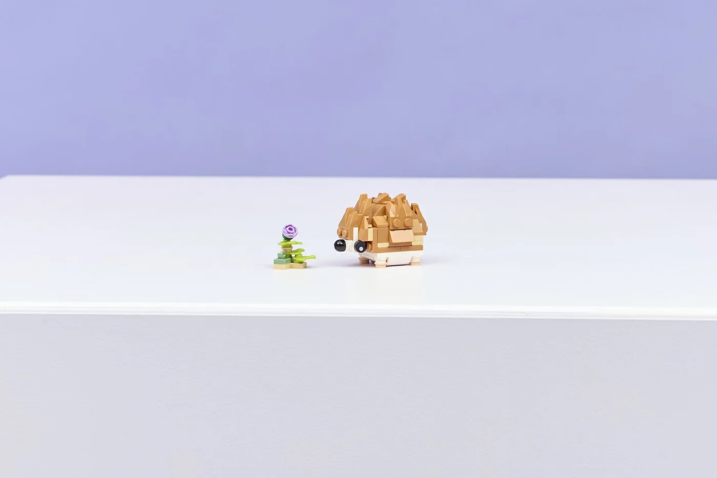 Hedgehog alternative in a display setting.