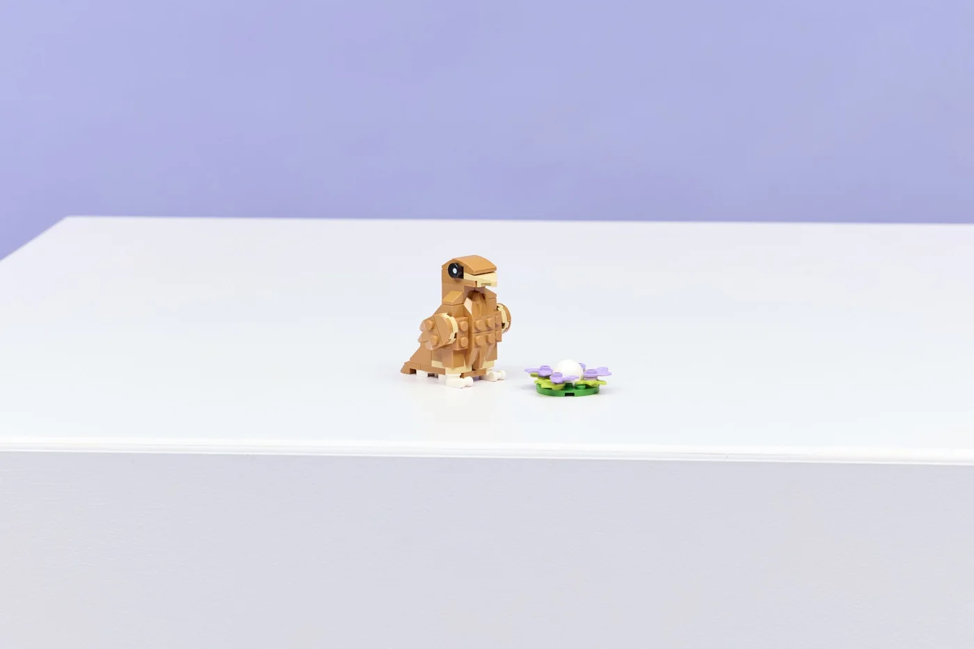 Eagle alternative in a display setting.