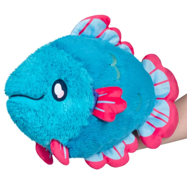 Mini Betta Fish in blue with contrasting pink-edged fins.