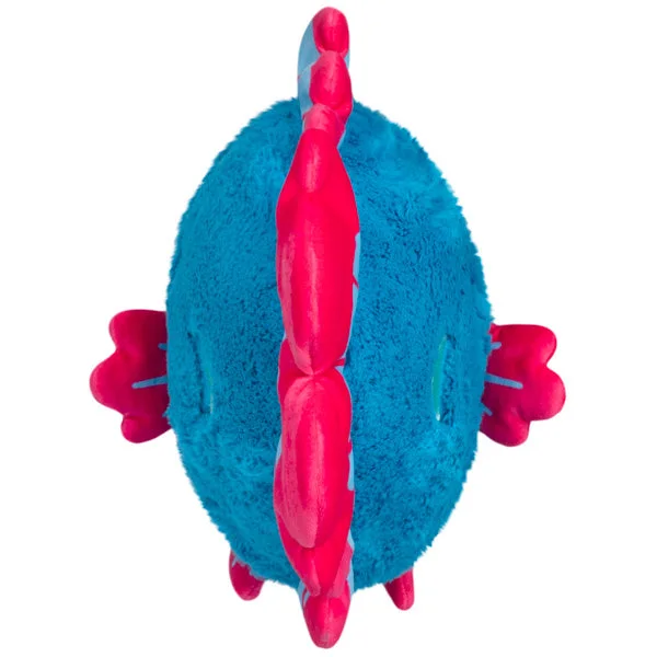 Narrow rear view showing the fish's rounded body.