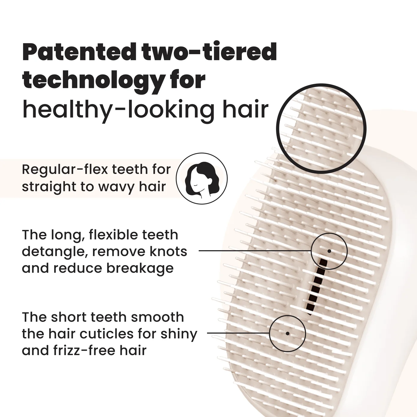 The two-tier tooth layout in the official product illustration.