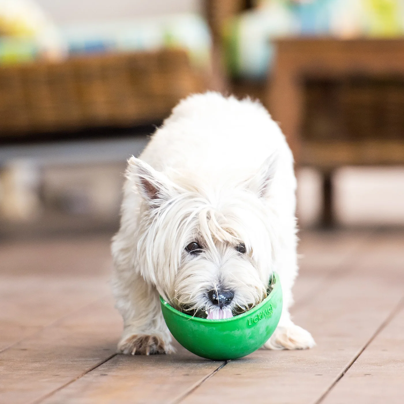 Manufacturer supervised-use photograph; this is not a FINDWEAVE trial or a promise of a particular licking time.