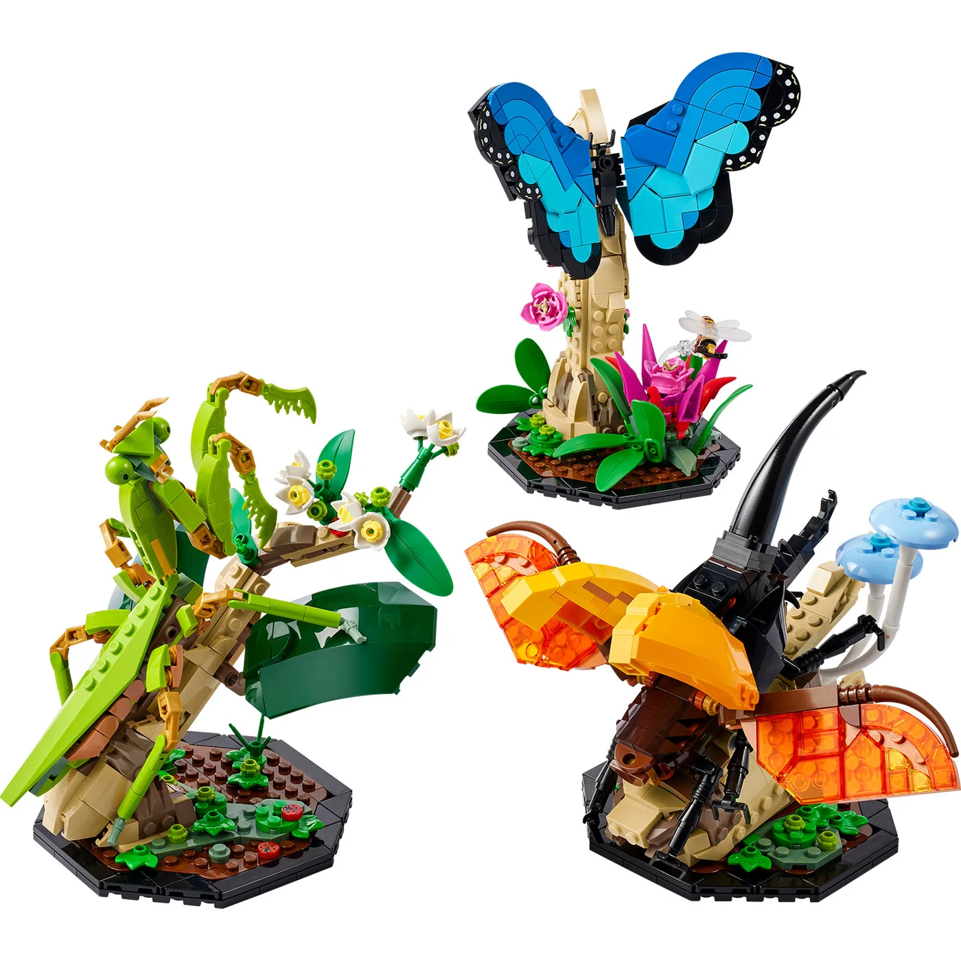 The butterfly, beetle and mantis on their three separate habitat bases.