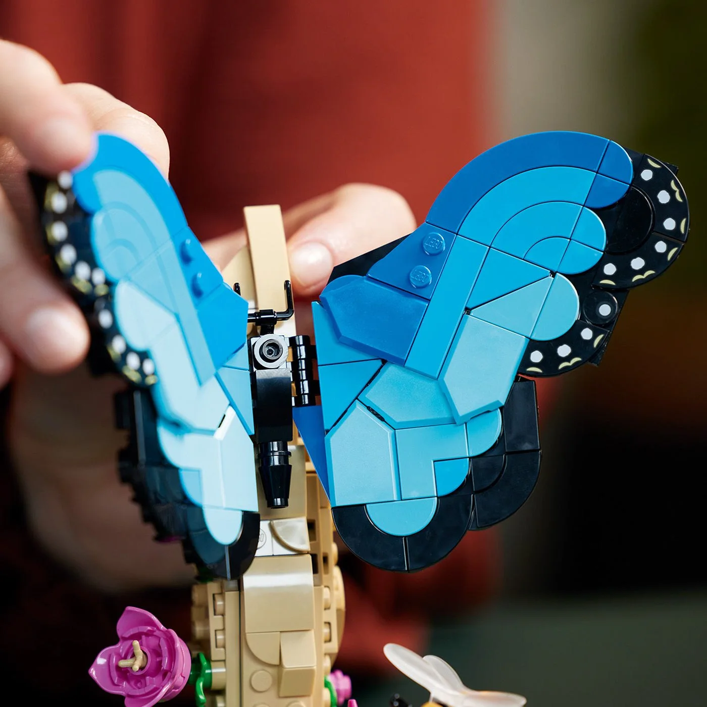Close view of the blue morpho butterfly wing elements.