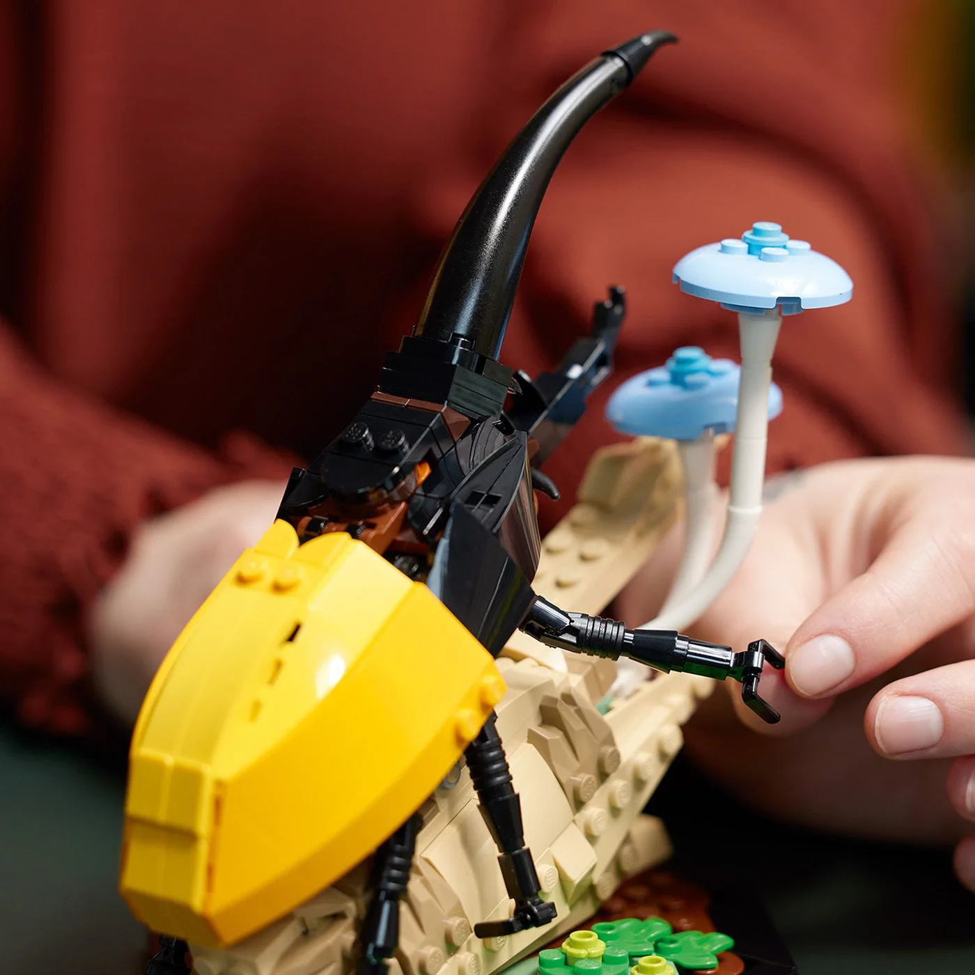 Hercules beetle with its attachable wing details.