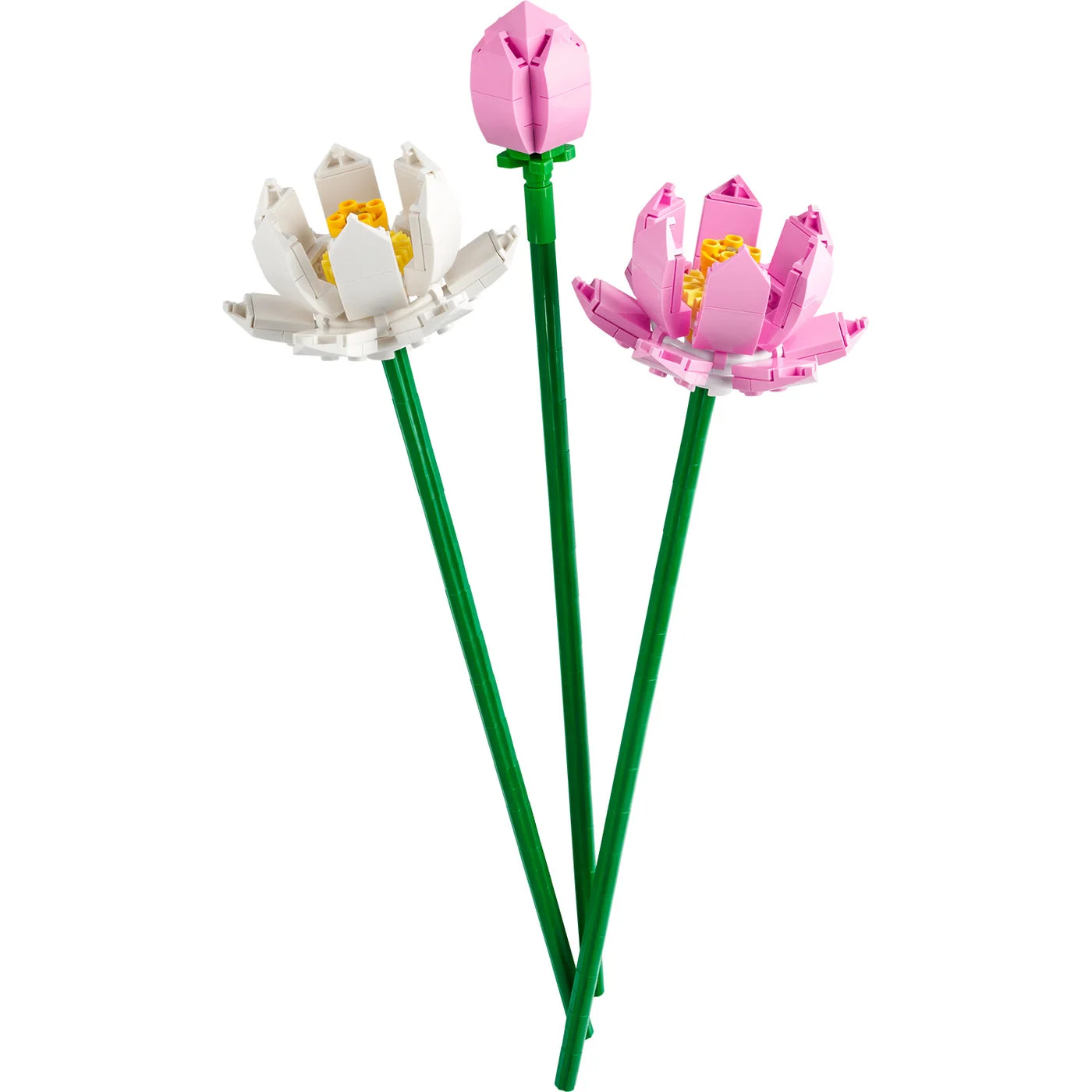 Two open lotus flowers and one bud are included in set 40647.