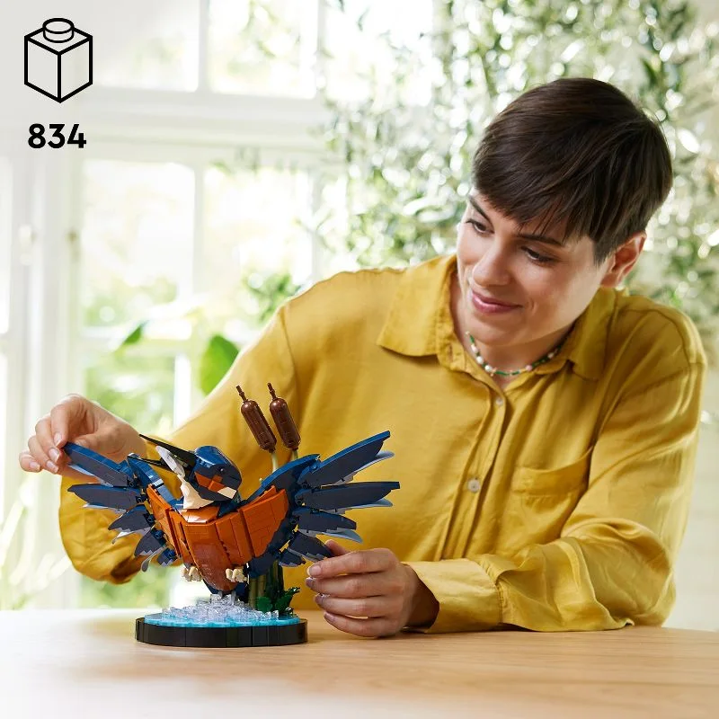 Maker assembly scene conveys scale, not a tested build-time promise.