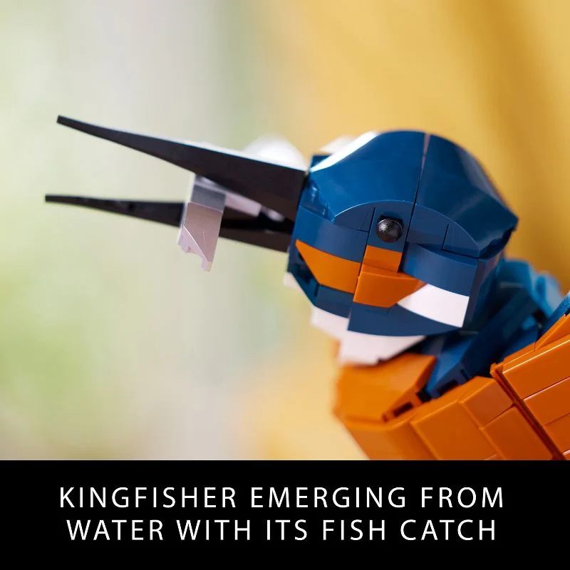 Close view of the head and fish catch in the beak.