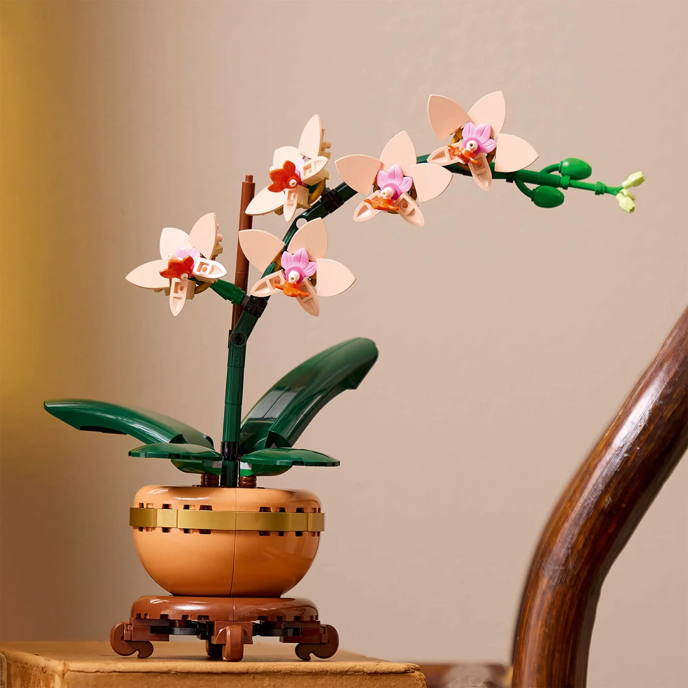 Finished Mini Orchid displayed on a table
