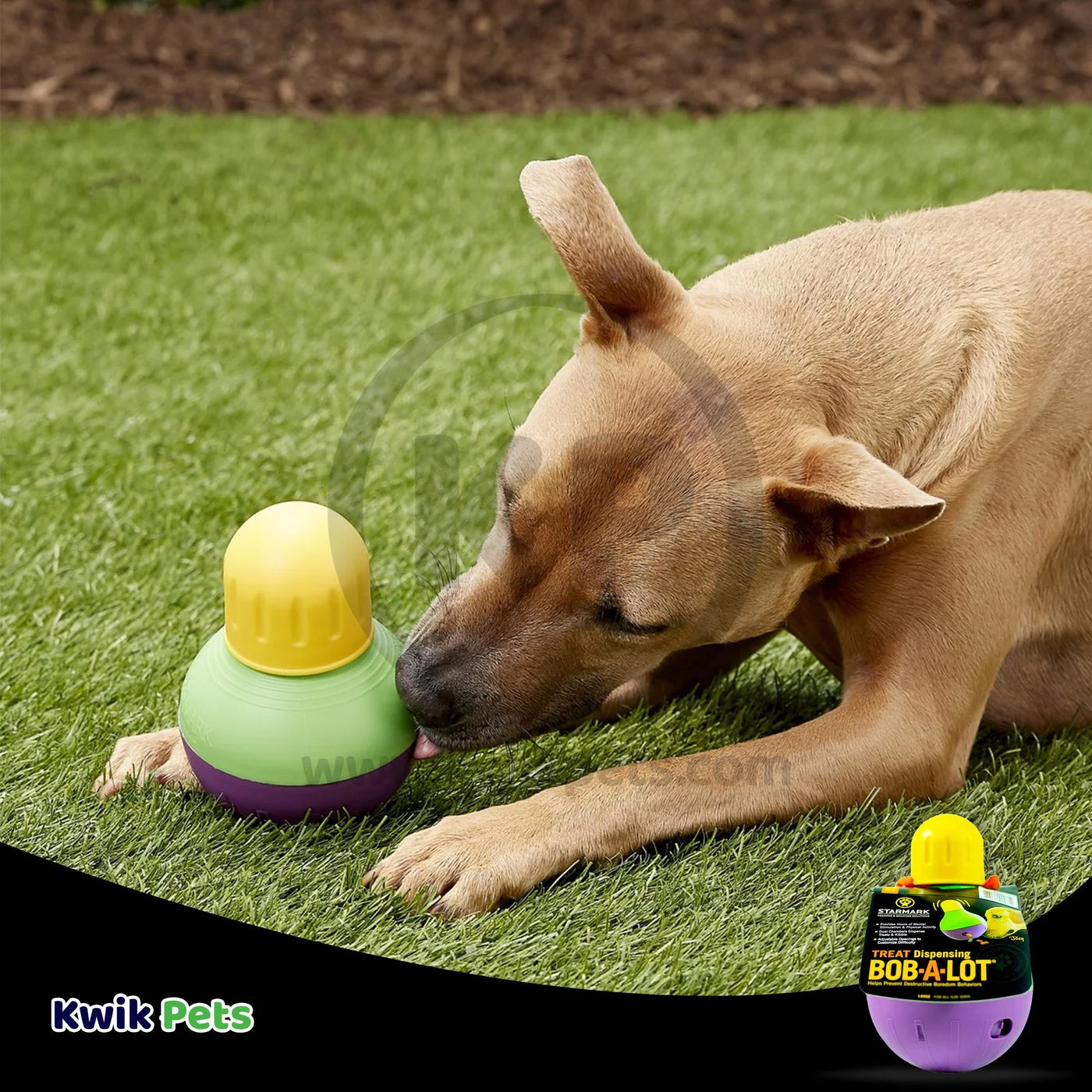 Retailer illustration of supervised dispensing play, not a Findweave pet trial or a breed-size prescription.