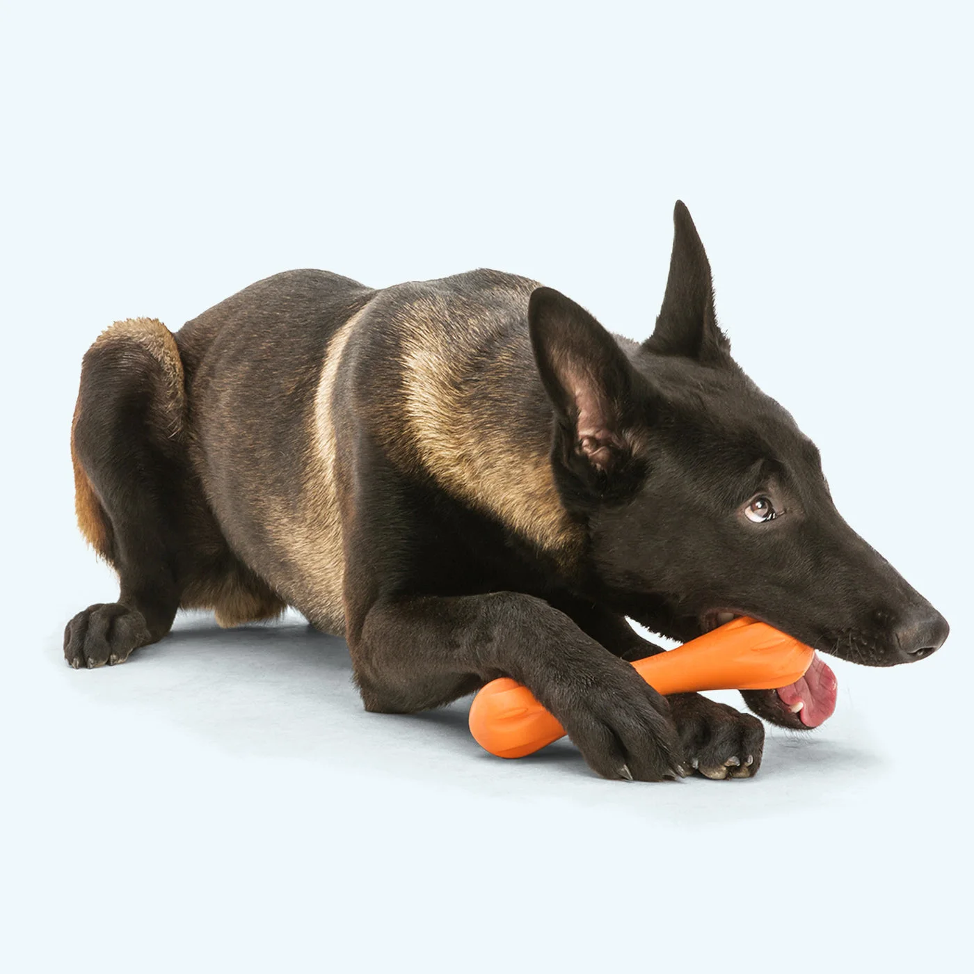Manufacturer chewing demonstration using Tangerine, not the selected Aqua colour.