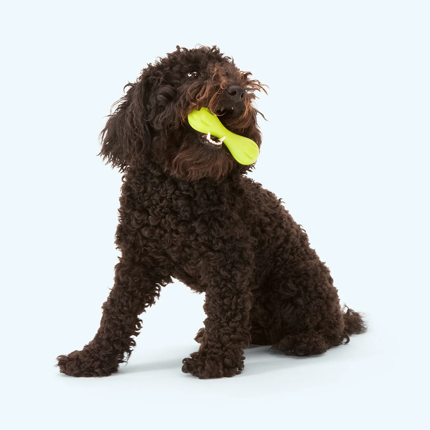 Dog carrying a Granny Smith Hurley in a maker reference scene; dog and other colours are not included.