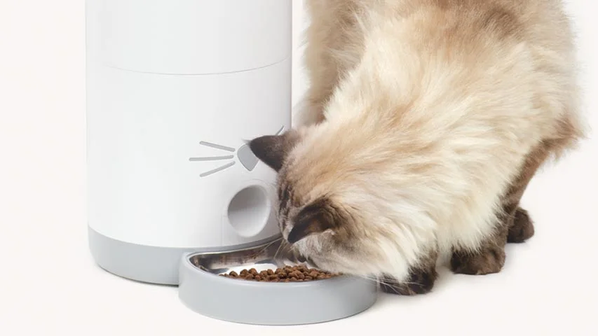 Cat eating from the feeder in a manufacturer reference scene.