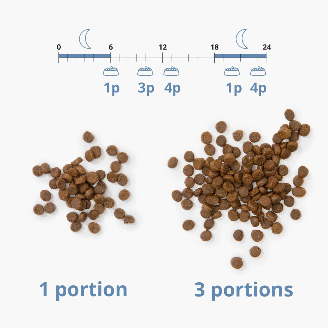 Portion illustration: equal settings do not imply equal gram weights for all foods.