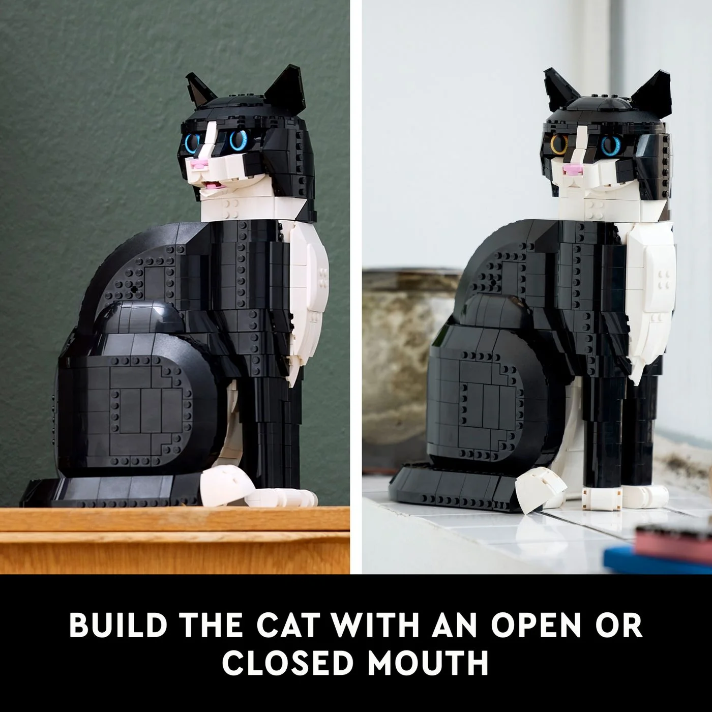 Open-mouth and closed-mouth configurations are alternatives for one cat; two completed models are not included.