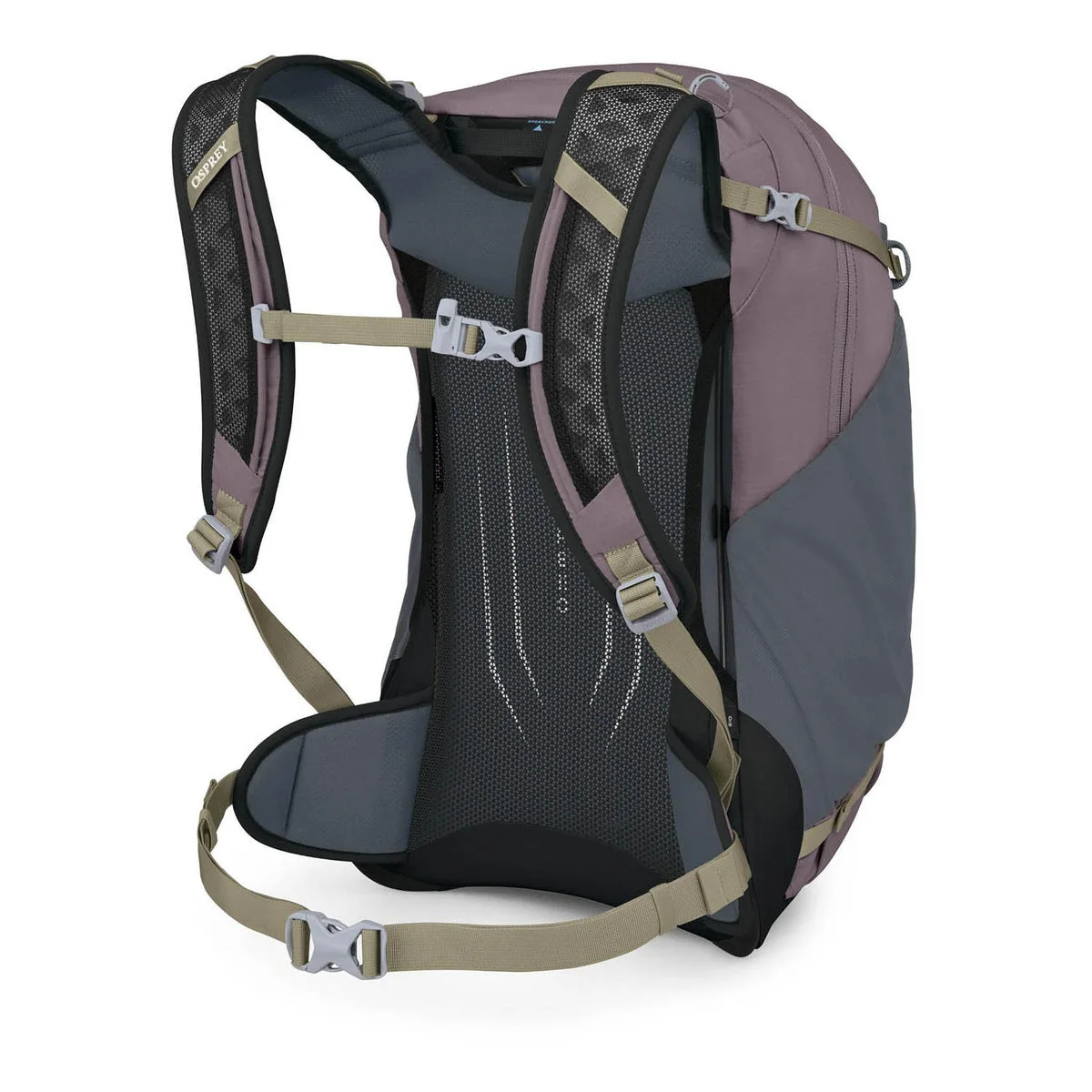 Rear view showing tensioned mesh and the carrying harness.