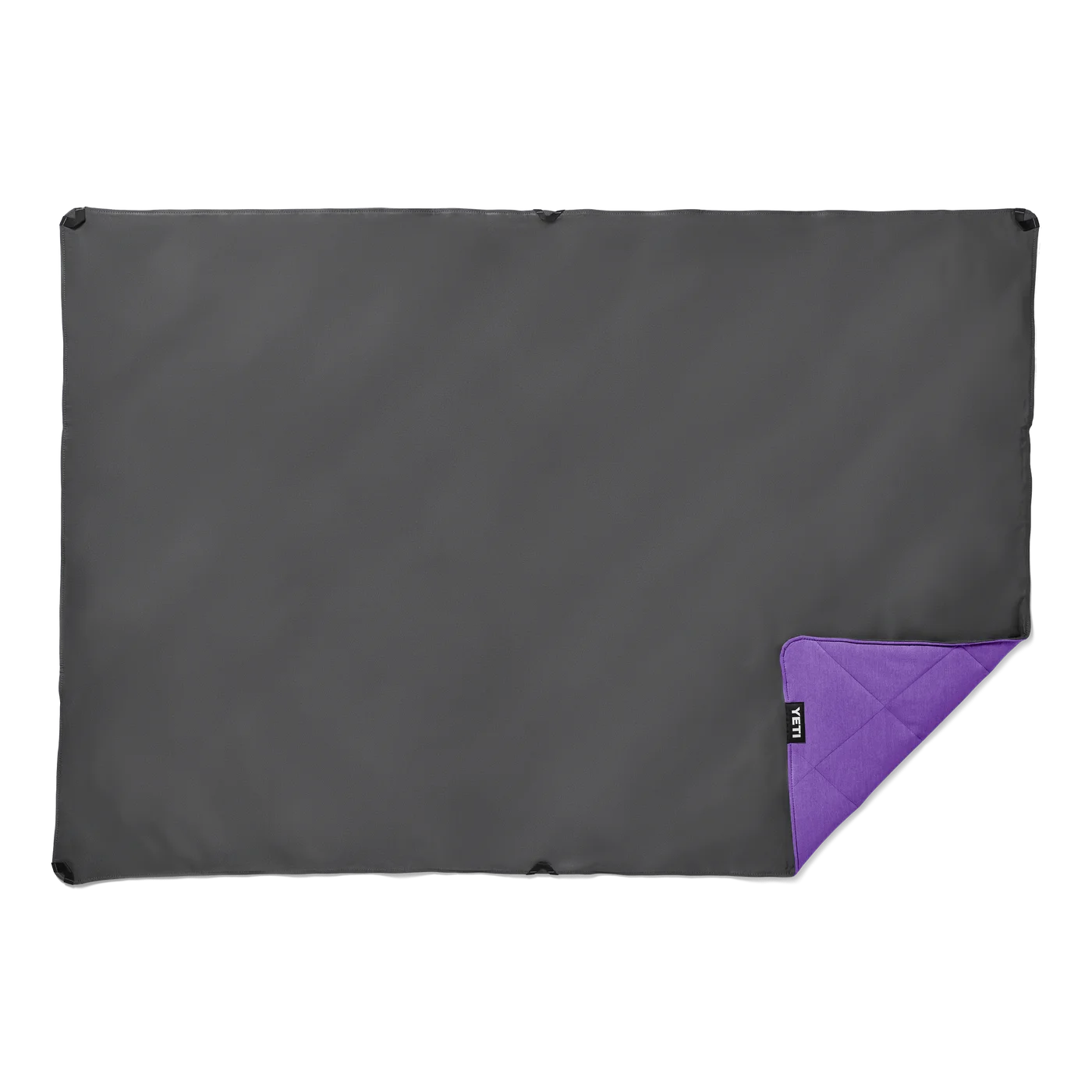 Dark ground-facing side and purple corner shown flat.