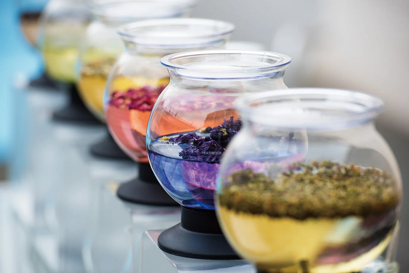 Row of steeping chambers showing tea colours, not proof of taste or included extras.