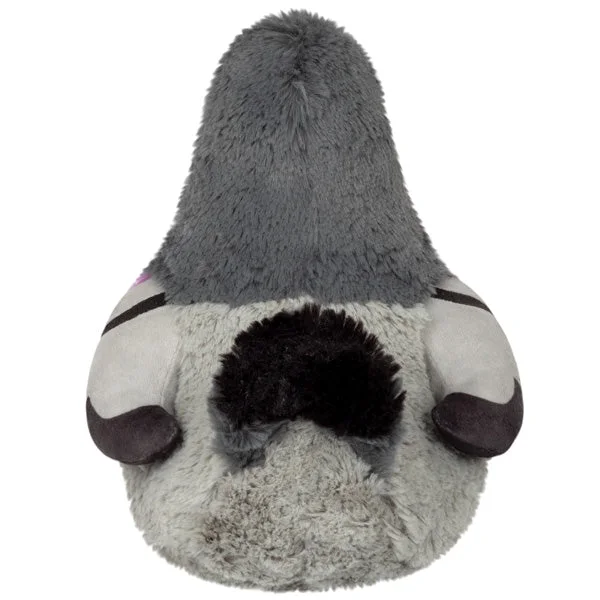 Rear view of the grey body and contrasting tail.