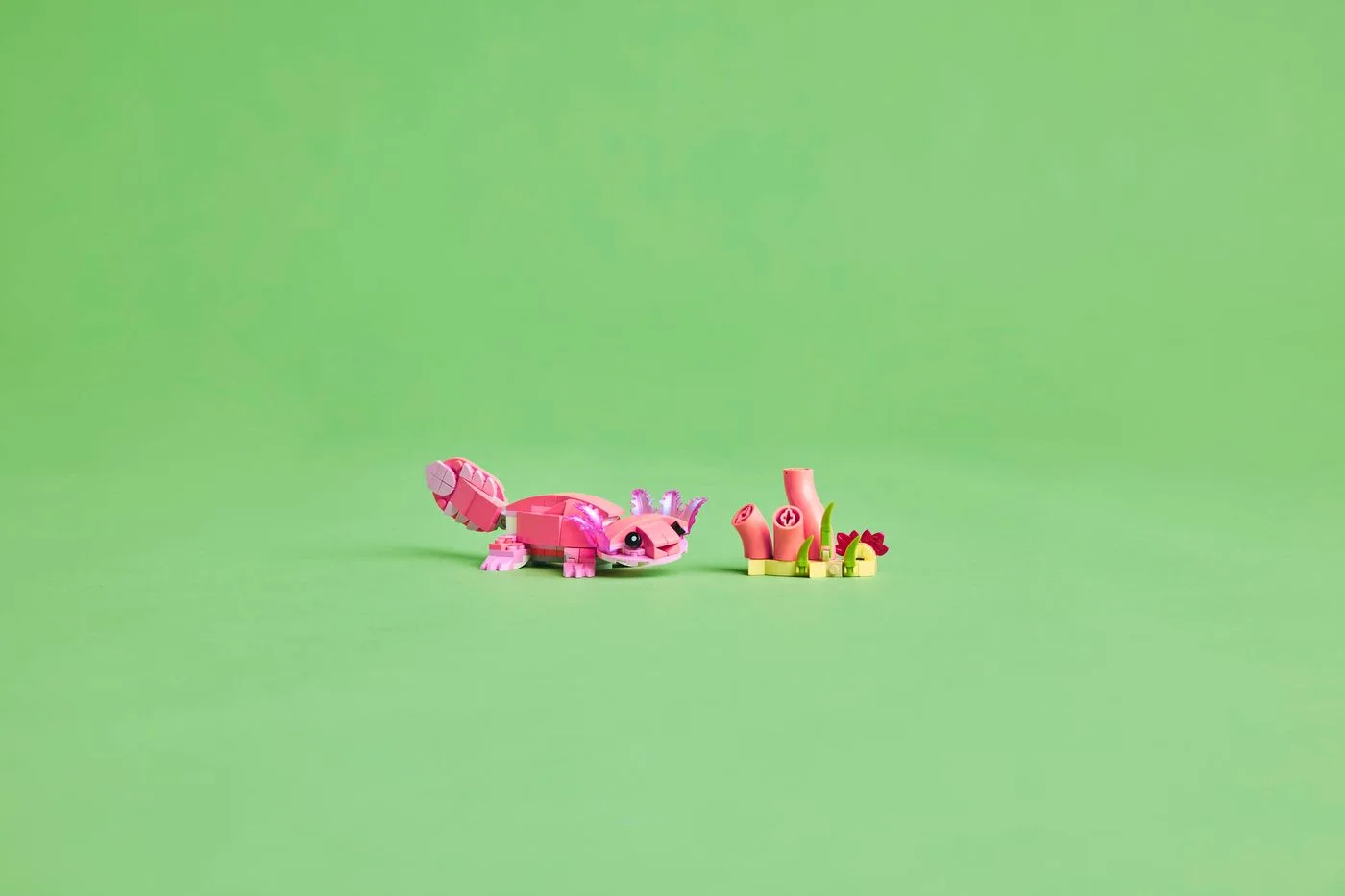 Axolotl alternative displayed against a plain background.