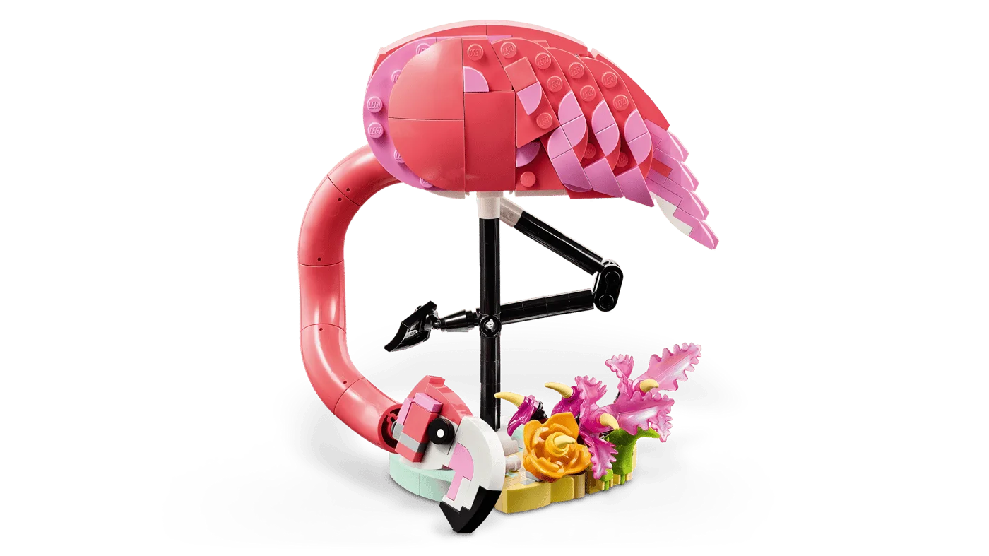 Flamingo bent forward with its head near the base.