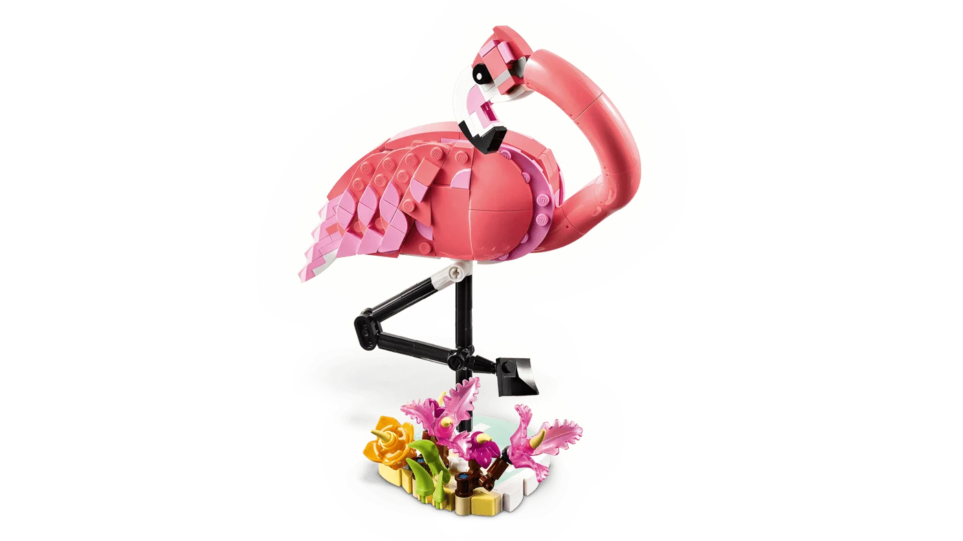 Side view of the flamingo and posed legs.