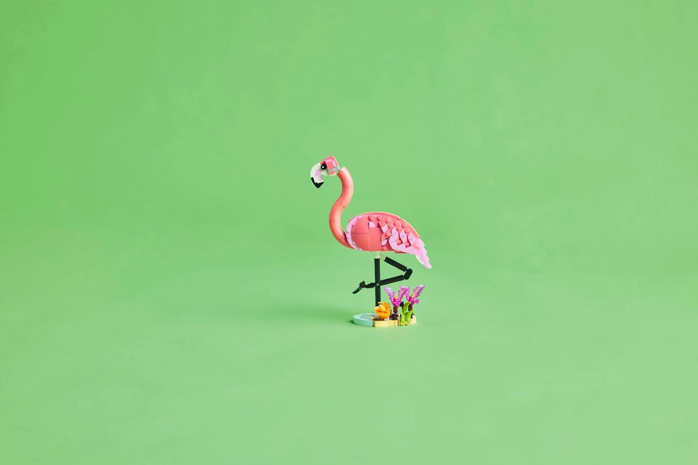 Flamingo displayed against a plain green background.