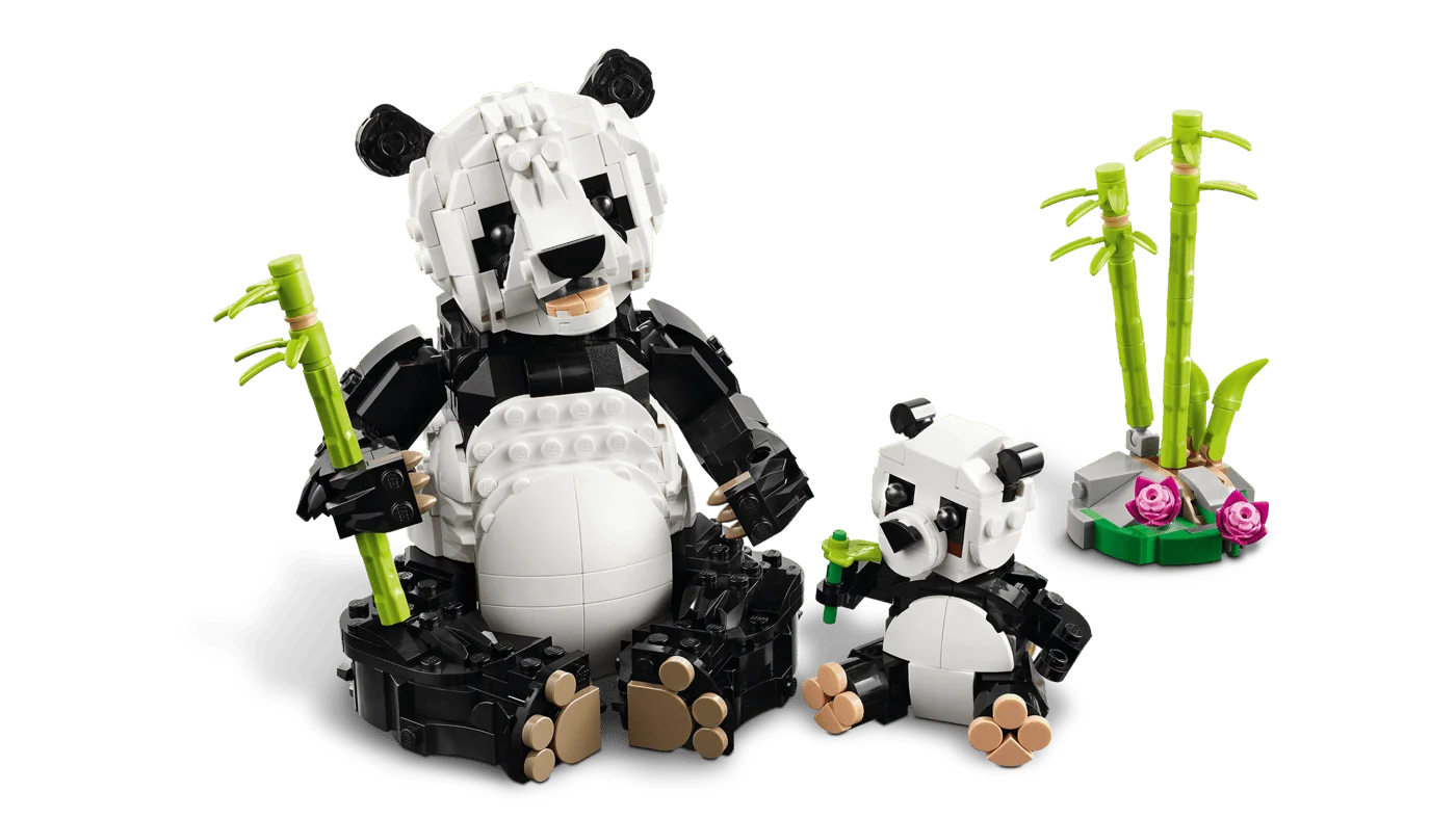 Panda family viewed together with the scenery.