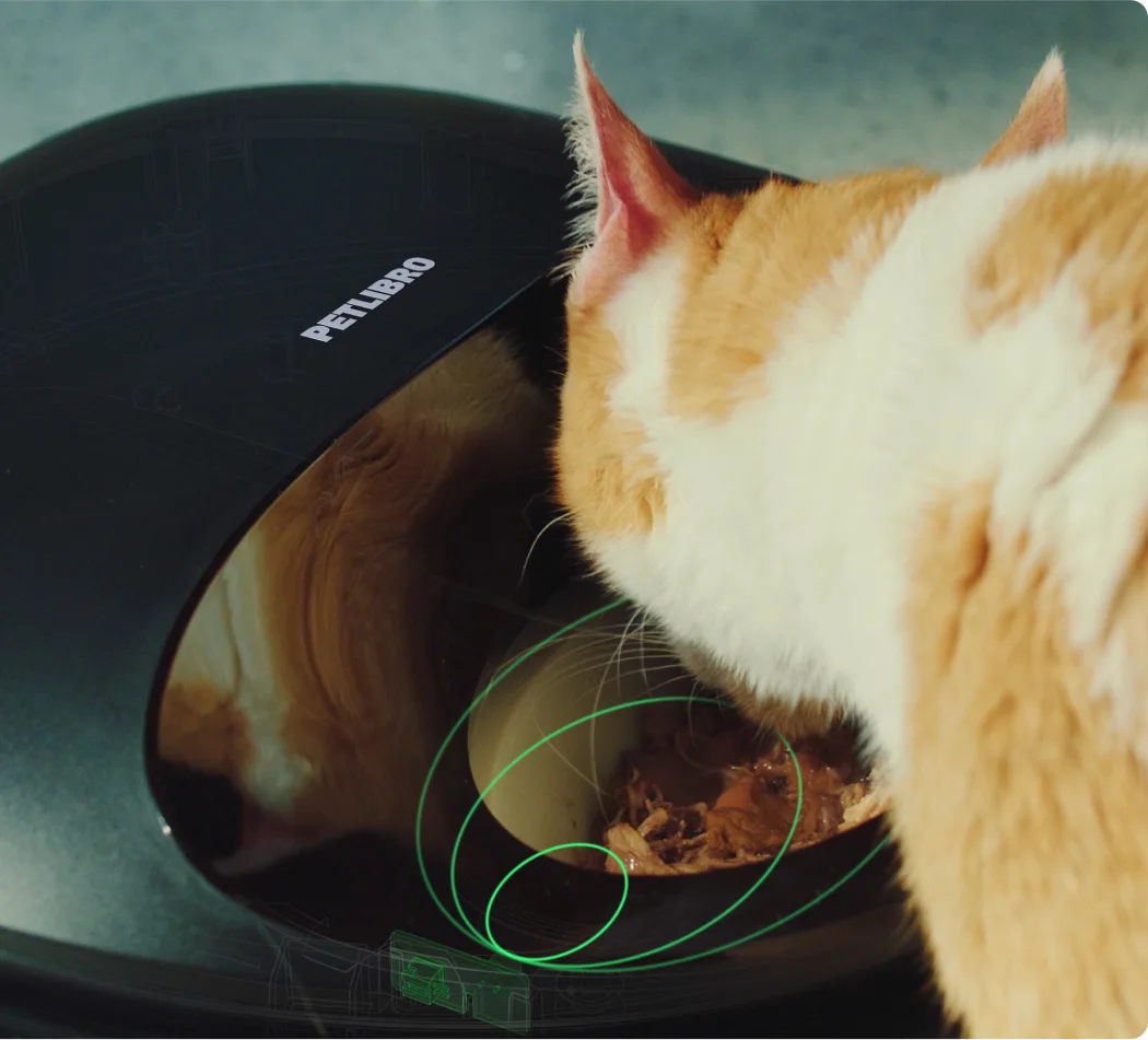 Manufacturer sensor-location illustration during feeding.