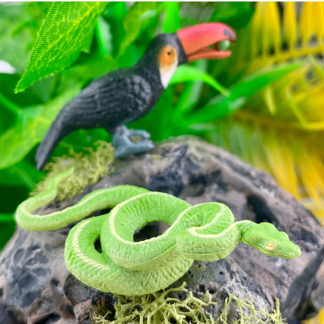 Rainforest TOOB 11-Animal Set — manufacturer reference view 8 — staged accessories not included