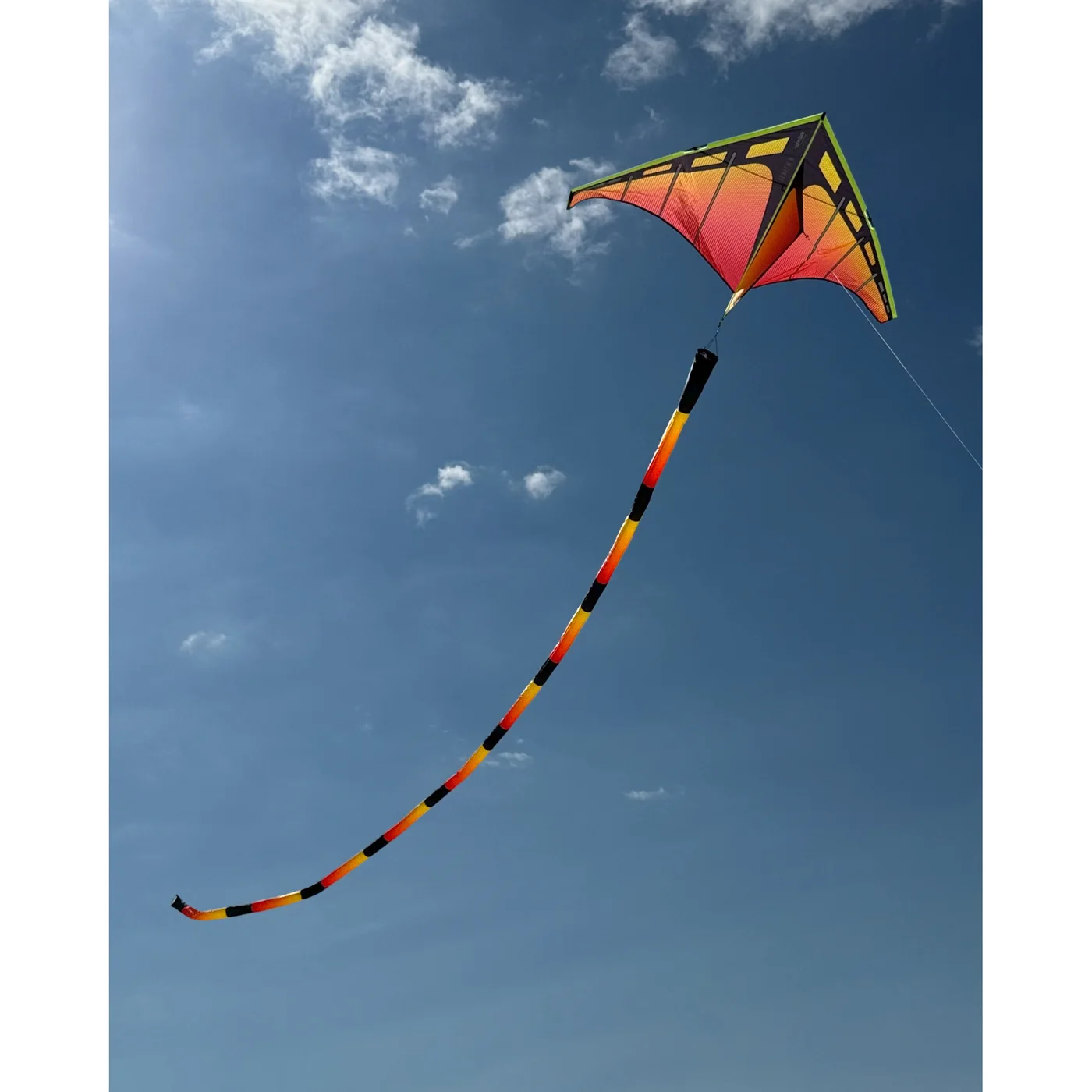 Zenith 5 Single-Line Delta Kite, Infrared — manufacturer reference view 8 — range package photo shows alternatives; large add-on tail not assumed included