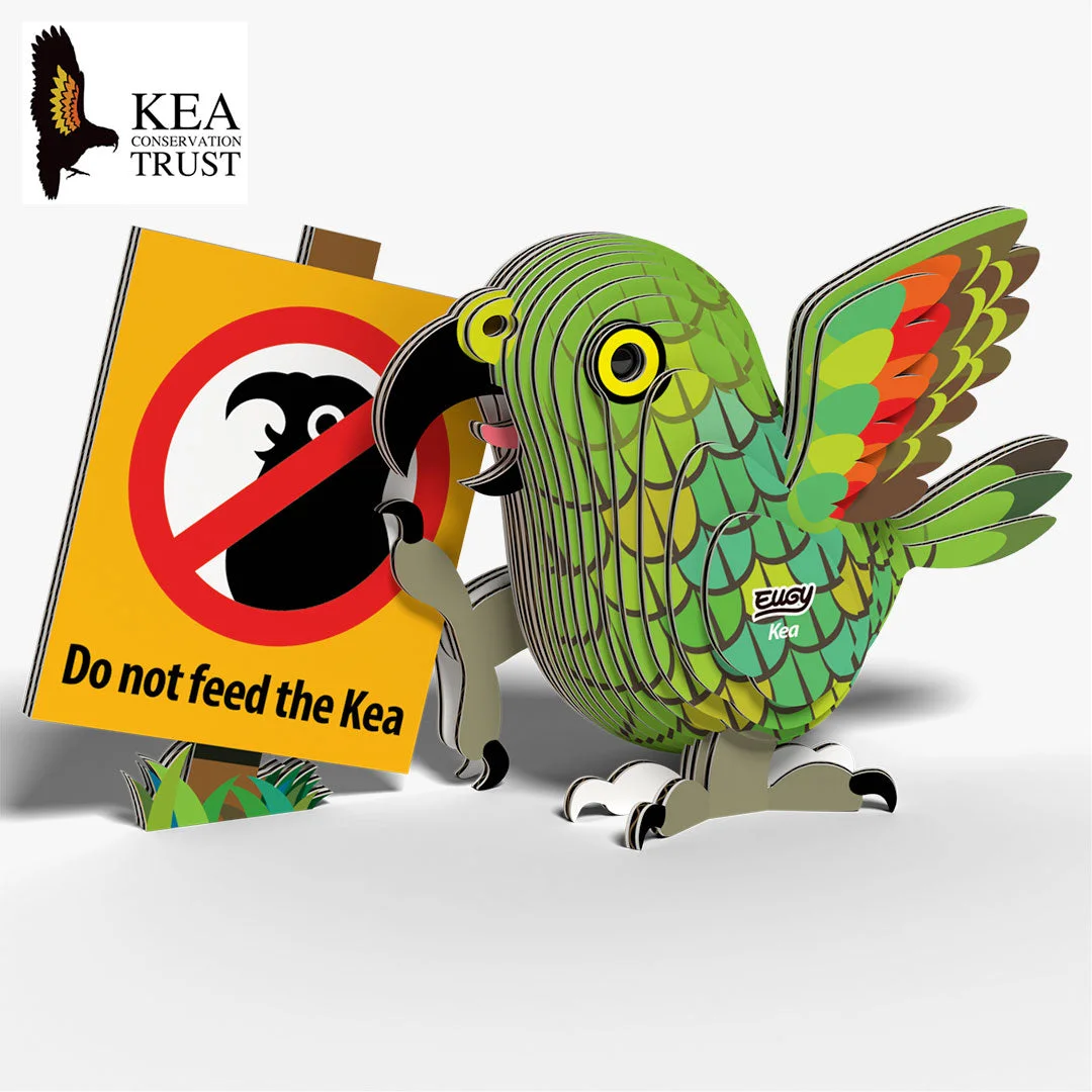 047 Kea 3D Paper Craft Kit — manufacturer reference view 2