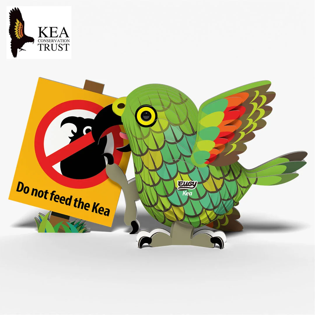047 Kea 3D Paper Craft Kit — manufacturer reference view 3