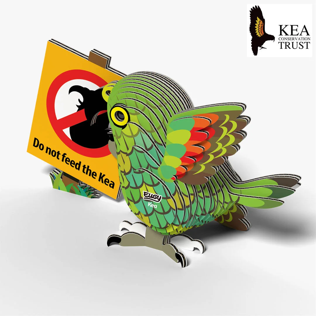 047 Kea 3D Paper Craft Kit — manufacturer reference view 4