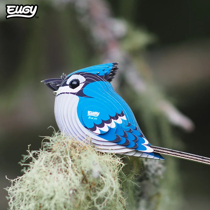 Blue Jay 067 Layered Paper 3D Puzzle Kit — manufacturer reference view 8 — assembled or exploded reference of an unassembled paper kit