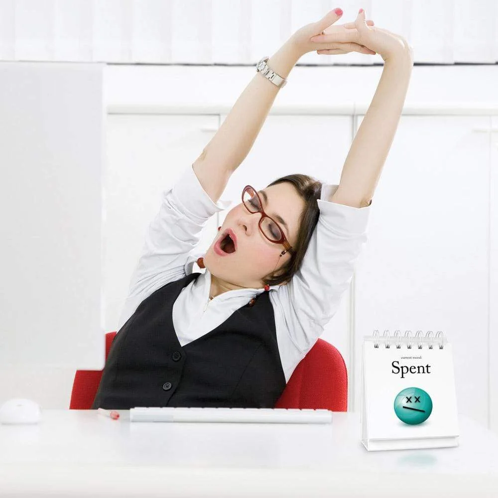 Genuine Fred The Daily Mood DAILYM — manufacturer reference; scene props not included