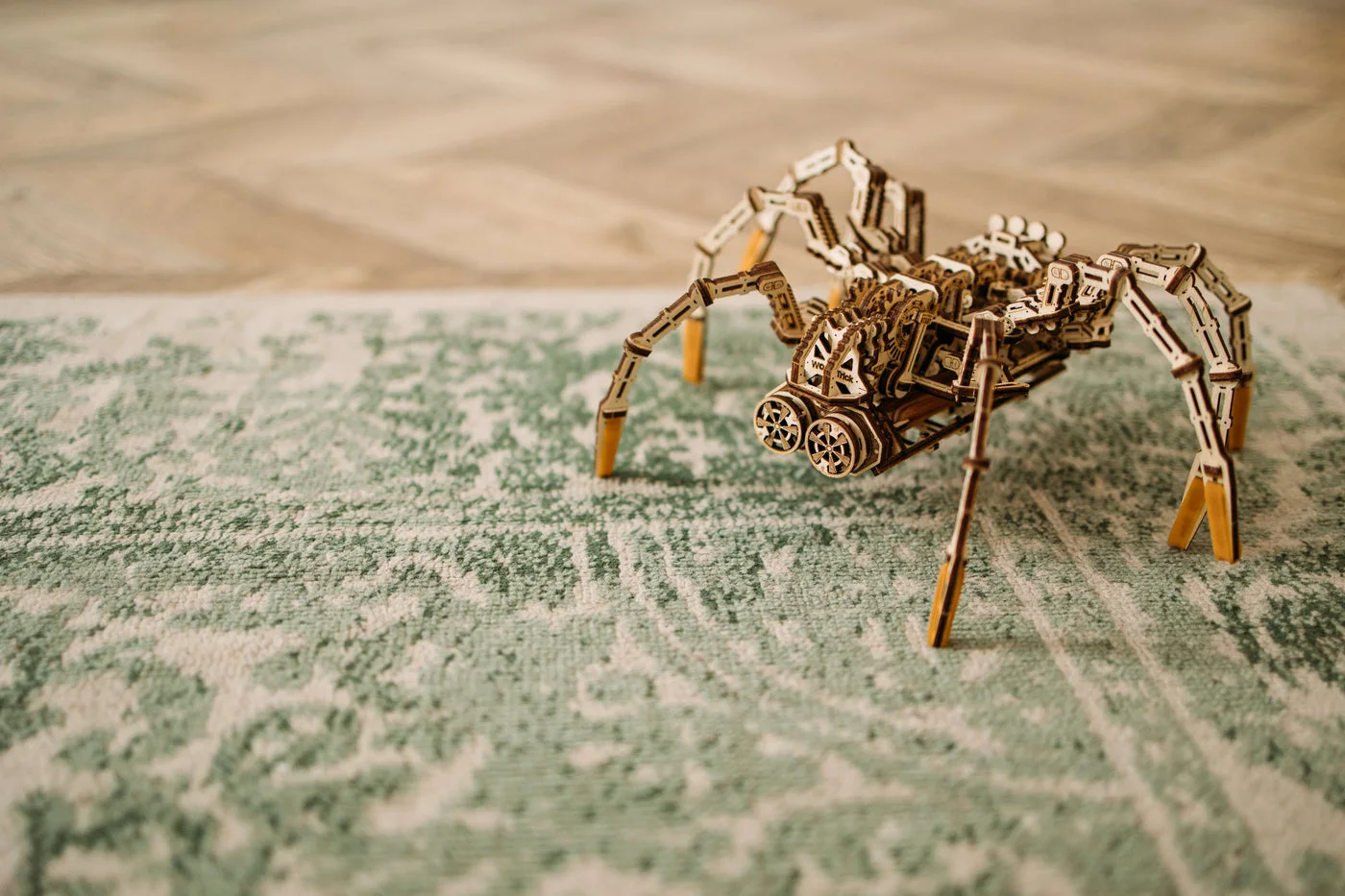 staged floor scene