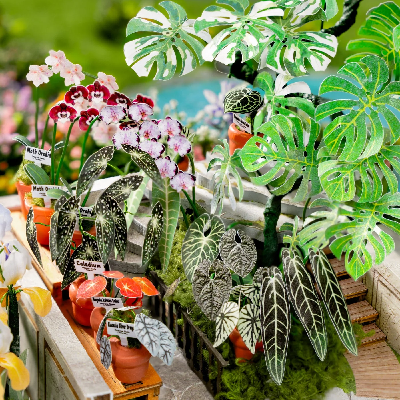 Oxygen Oasis Miniature Greenhouse DH102 — manufacturer gallery view 6