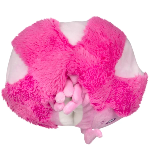 Mini Pink Pillbug Rollie Pollie — manufacturer gallery view 3