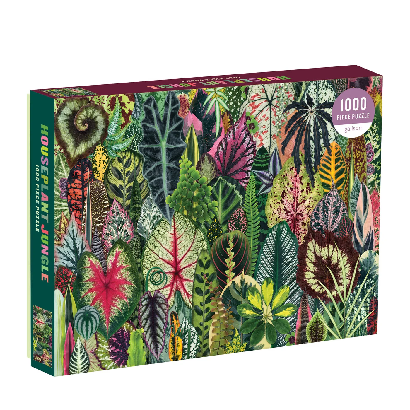 Houseplant Jungle retail box