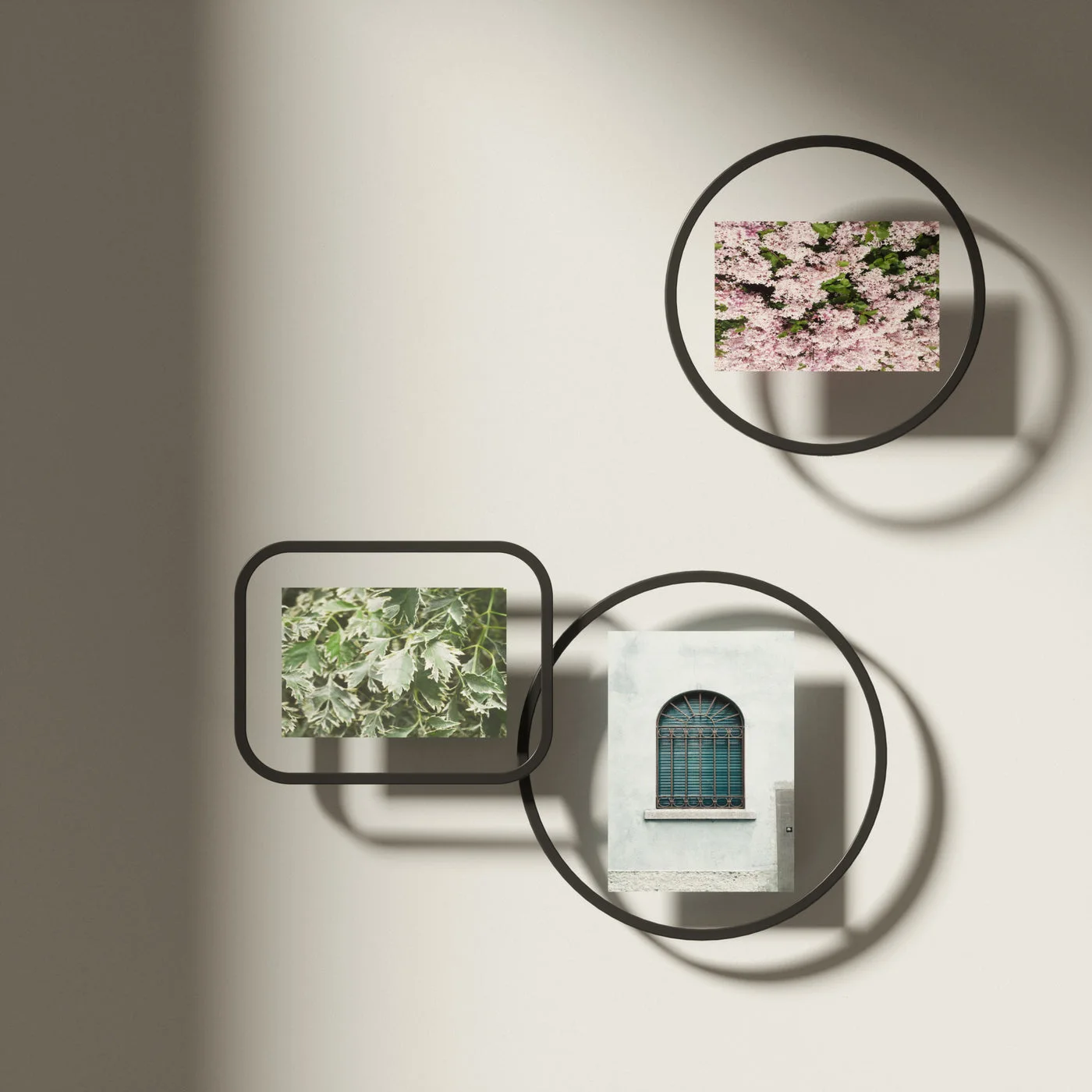 wall arrangement comparing shapes; other frames not included